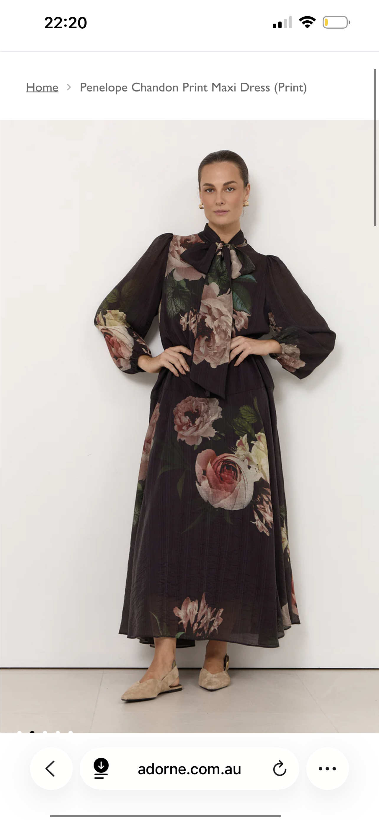 Adorne - the Penelope Chandon Print Long Sleeve Dress