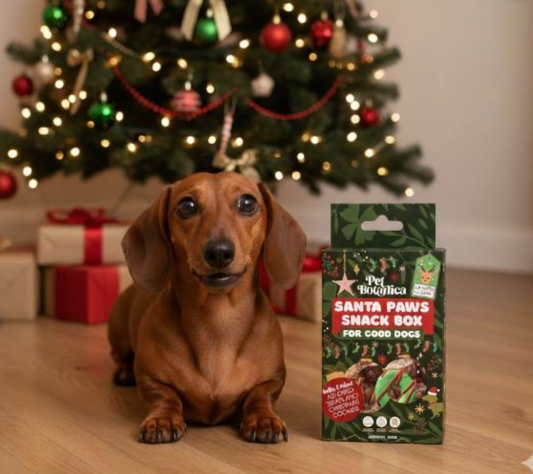 Pet Botanica Treats