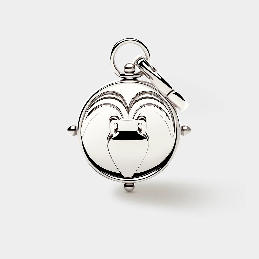 Coluri Aquarius Double Sided Silver Charm