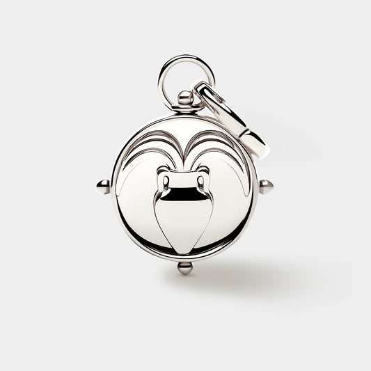 Coluri Aquarius Double Sided Silver Charm