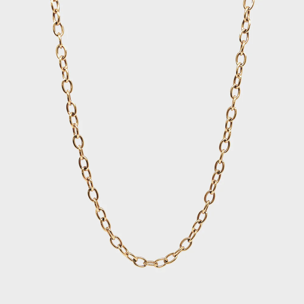Coluri Charm Necklace Thin Gold Chain